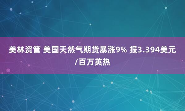 美林资管 美国天然气期货暴涨9% 报3.394美元/百万英热