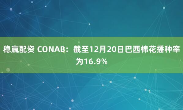 稳赢配资 CONAB：截至12月20日巴西棉花播种率为16.9%