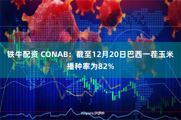 铁牛配资 CONAB：截至12月20日巴西一茬玉米播种率为82%